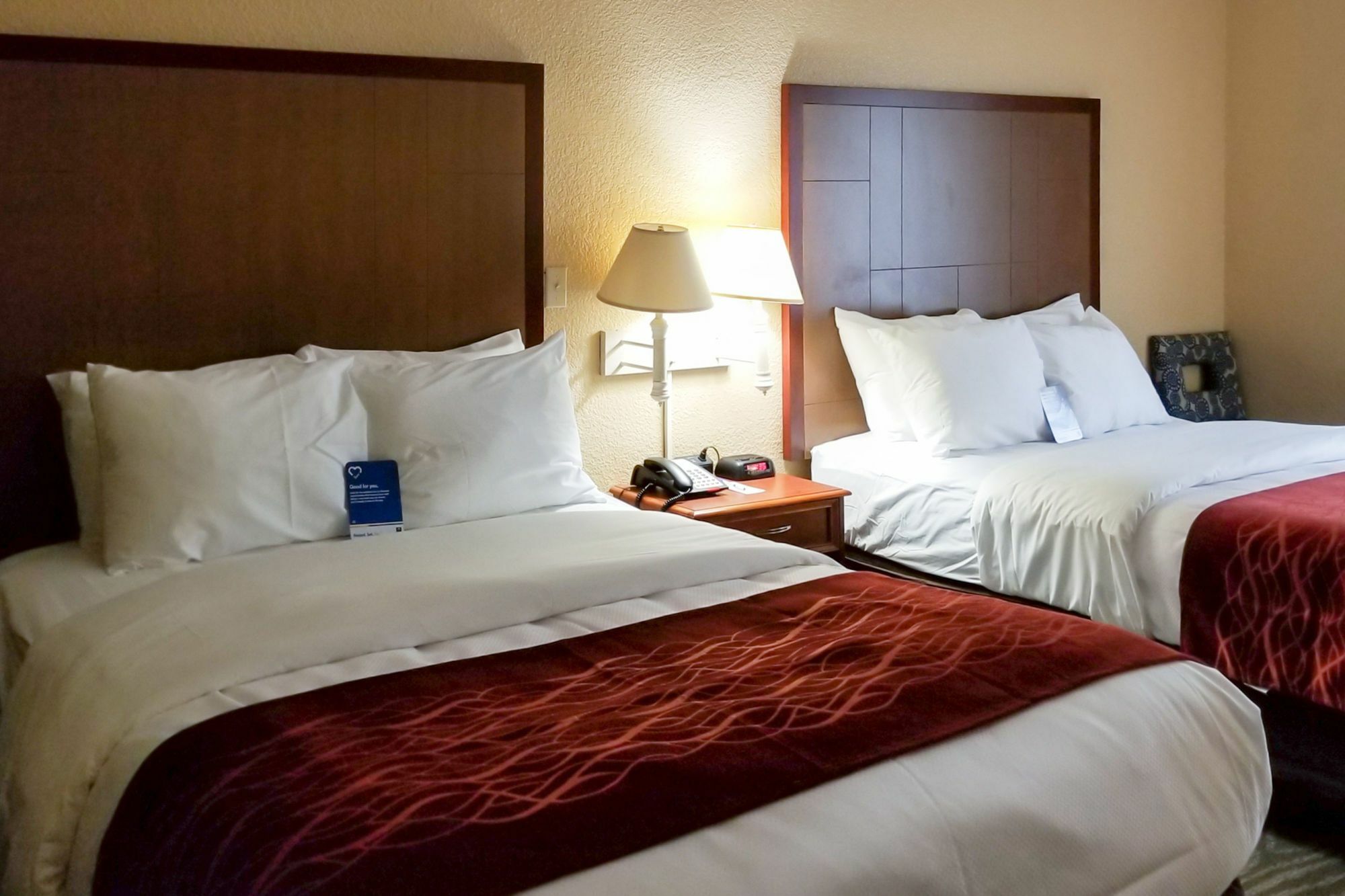 Comfort Inn & Suites Near Six Flags & Medical Center San Antonio Exterior photo